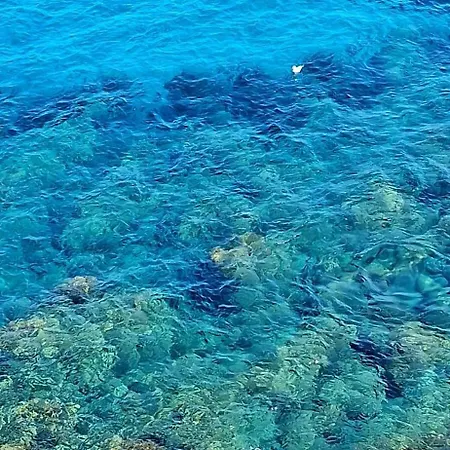 Palazzo Cettina Sul Mare *